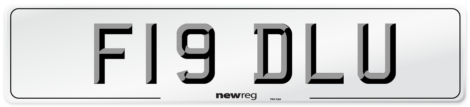 F19 DLU Number Plate from New Reg